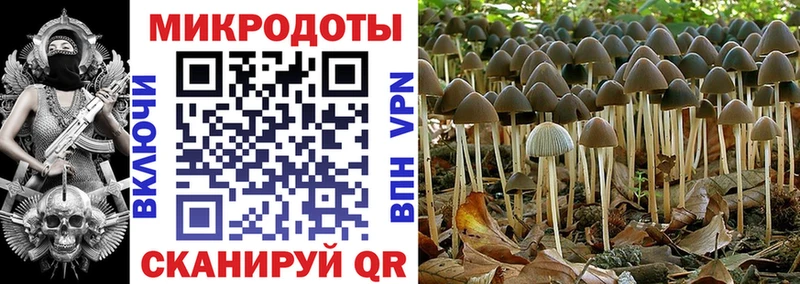 Галлюциногенные грибы Psilocybine cubensis что такое Екатеринбург