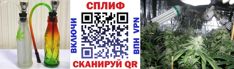 Конопля гибрид Екатеринбург